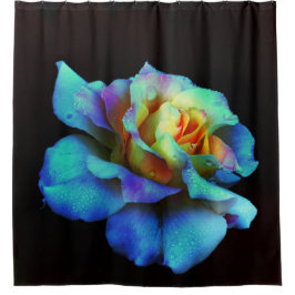 Para Box Turquesa e Dourada Cortina Rosa Arco-Íris