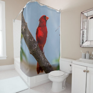 Para Box Uma Cortina de Banho Cardeal