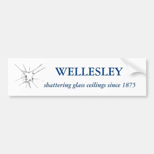 Para Carro Adesivo (Frente)