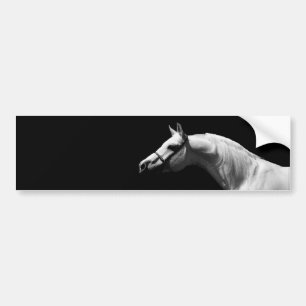 Para Carro Adesivo de Parede Arte de Cavalo Preto e Branco