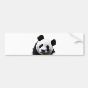 Para Carro Adesivo de Parede Arte Panda Bonito