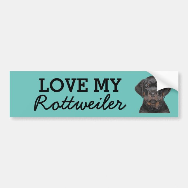 Para Carro Adesivo do para-choques rottweiler (Frente)