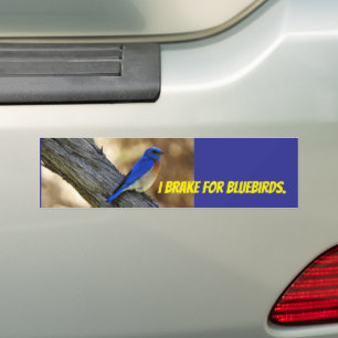 Para Carro adesivo para-choques de pássaro azul