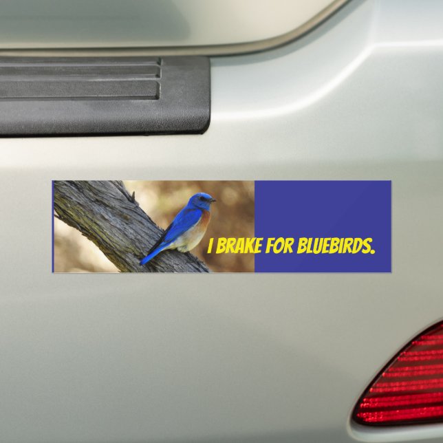 Para Carro adesivo para-choques de pássaro azul (No carro)