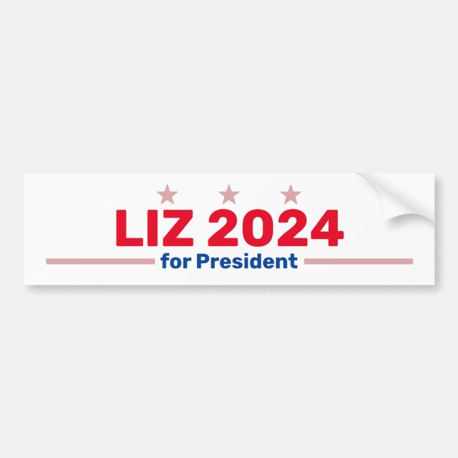 Para Carro adesivo para-choques Liz 2024 (Frente)