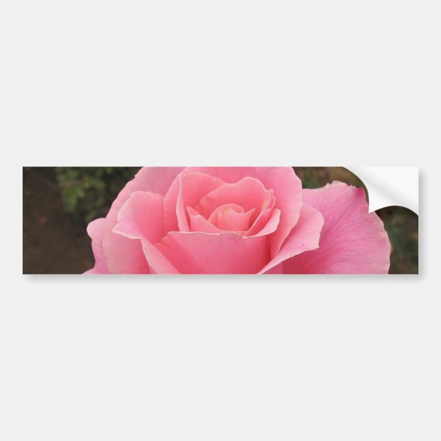 Para Carro Adesivo rosa rosa rosa rosa (Frente)