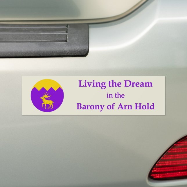 Para Carro Adesivo SCA Arn Hold (No carro)