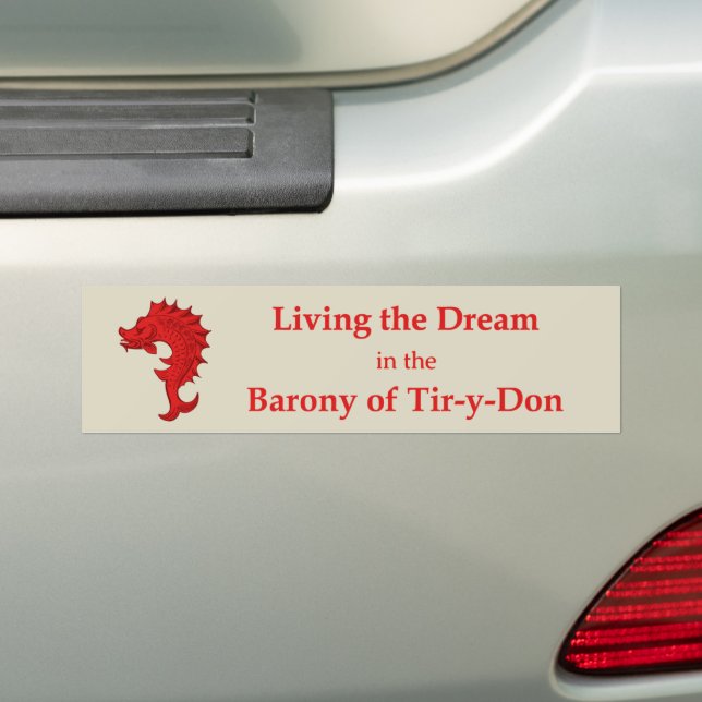 Para Carro Adesivo SCA Tir-y-Don (No carro)