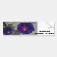 Manhã - Flor Gloriosa - Adesivo