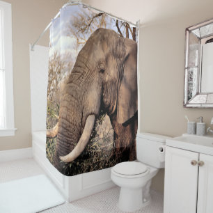 Para Chuveiro Cortina de Chá de Elefante