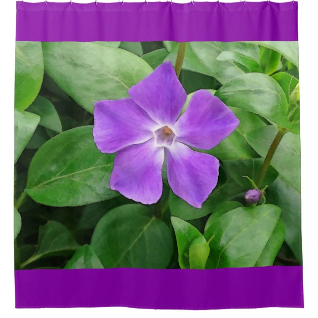 Para Chuveiro Cortina de chá principal do Vinca (Frente)