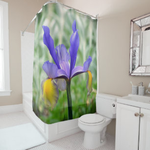 Para Chuveiro Cortina de Chá Roxo N Dourada Iris II