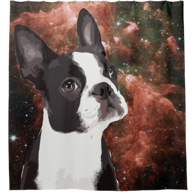 Para Chuveiro Engraçado Boston Terrier na Cortina do Chá Espacia (Frente)