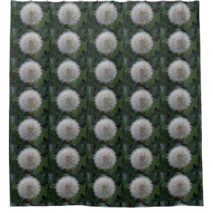 Para Chuveiro Propagando cortina do Chá de Flor Dandelion
