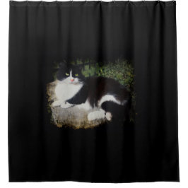 Para Chuveiro Rainha da cortina de chá do gato do jardim