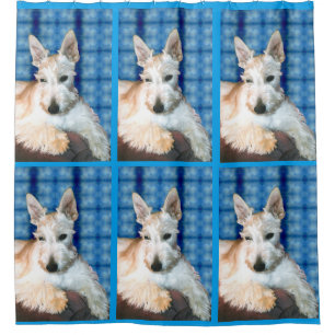 Para Chuveiro Whaten Scottie Chá Cortina