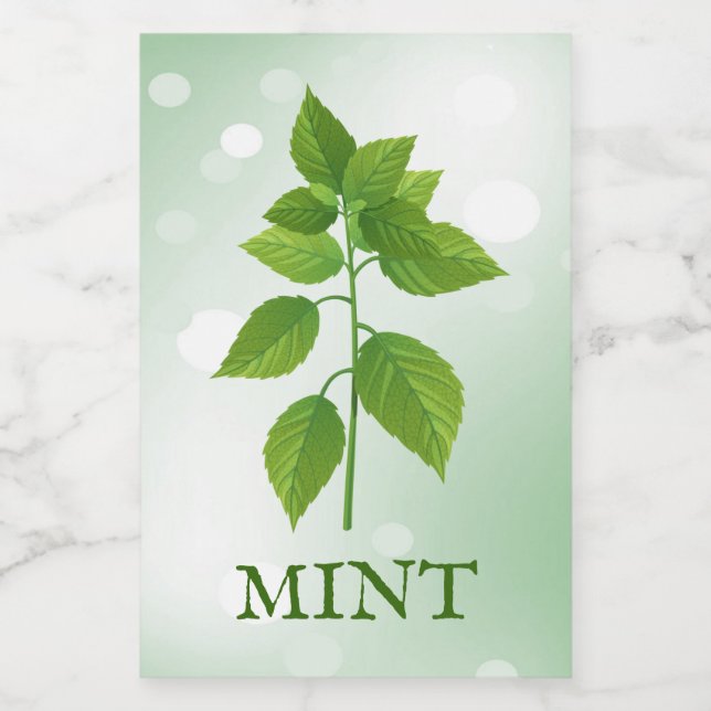 Para Comida Rótulo de Herbos de Mint (Rótulo Único)