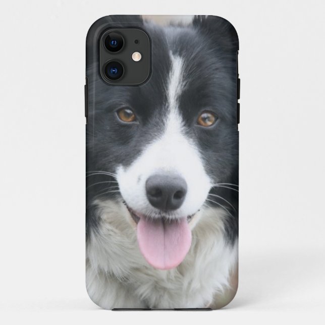 Para iPhone 11 Capa de telefone de border collie (Verso)