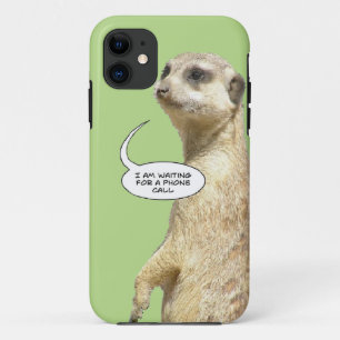 Para iPhone 11 Capa de telefone de Meerkat