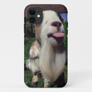 Para iPhone 11 Capa de telefone insolente da cabra
