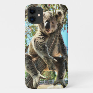 Para iPhone 11 Capa de telefone Koala