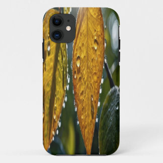 Para iPhone 11 Capa de telefone personalizável - Crie seu próprio