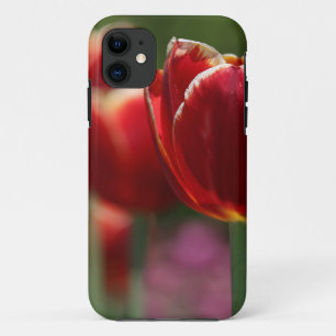 Para iPhone 11 Capa de telefone Tulip