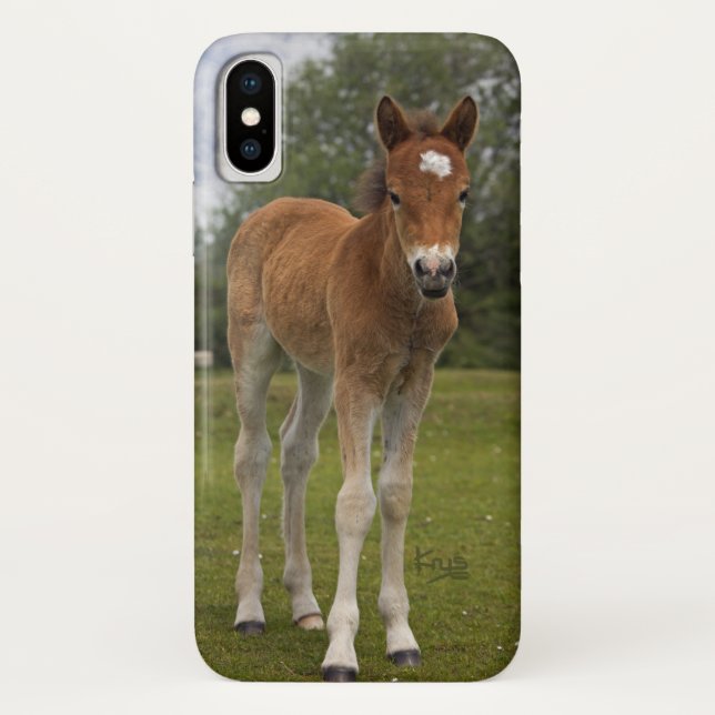 Para iPhone, Case-Mate Capa de iPhone X de Potro (Verso)