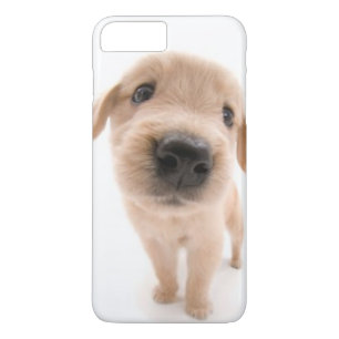 Para iPhone Da Case-Mate Capa de telefone do golden retriever
