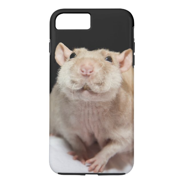 Para iPhone, Case-Mate Capa de telefone rato (Verso)