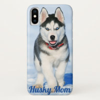 Husky Siberiano de Olhos Azuis - Mãe Rouco, Capa d