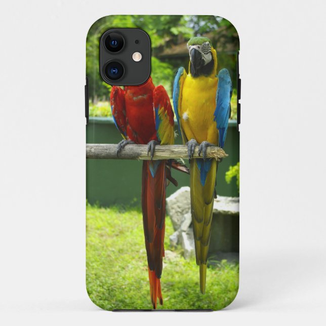 Para iPhone Da Case-Mate Capa de telefone do Macaw (Verso)