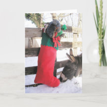 "Para Mim?" Cartão de Festividades