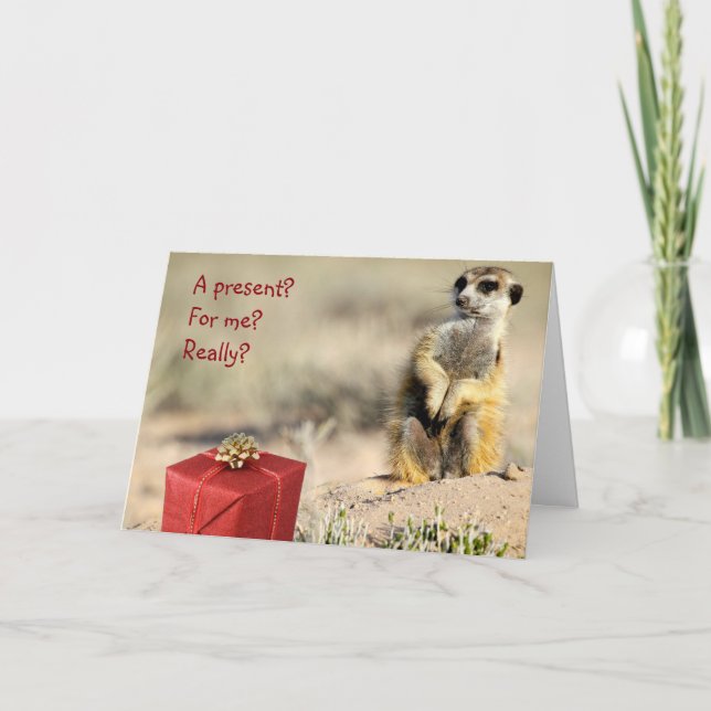 Para mim? - Um cartão de Natal de KMP (Frente)