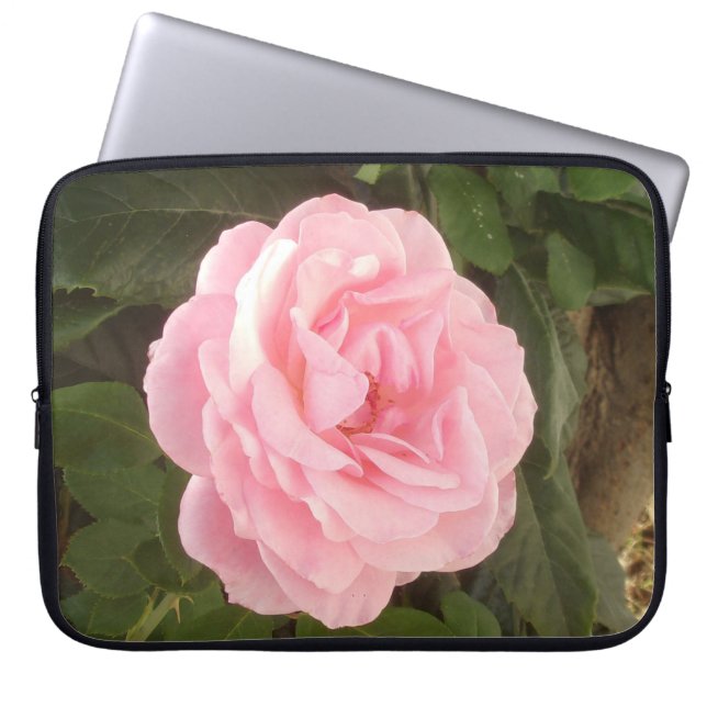 PARA NOTEBOOK CAPA DE LAPTOP (Frente)