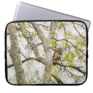 Para Notebook Capa de Laptop Arte da Natureza Coruja em uma Árvo