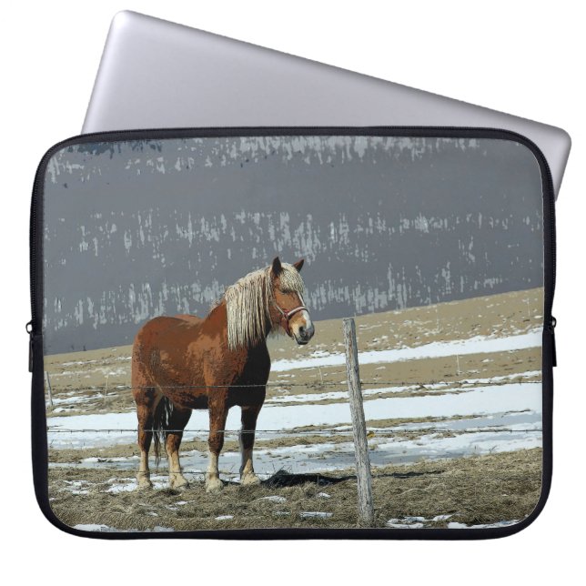 Para Notebook Capa de Laptop Cavalo de Tração Belga no Paddock (Frente)