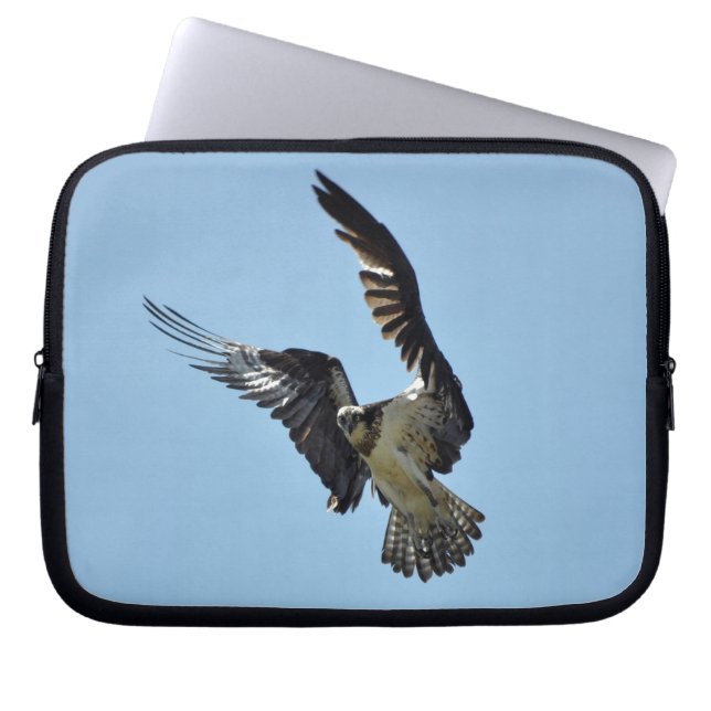 Para Notebook Capa Selvagem de Raptor de Osprey Voando (Frente)