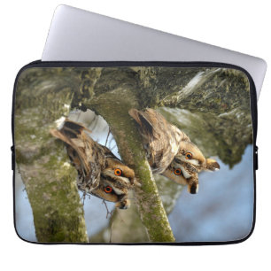 Para Notebook Duas Corujas nos Bosques, aves, vida selvagem capa