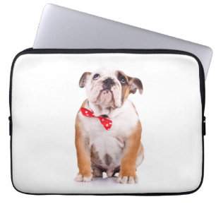 Para Notebook Inglês Bulldog Puppy Dog - Capa de caso