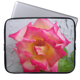 Para Notebook Rosa Dick Clark creme e rosa em uma capa de laptop