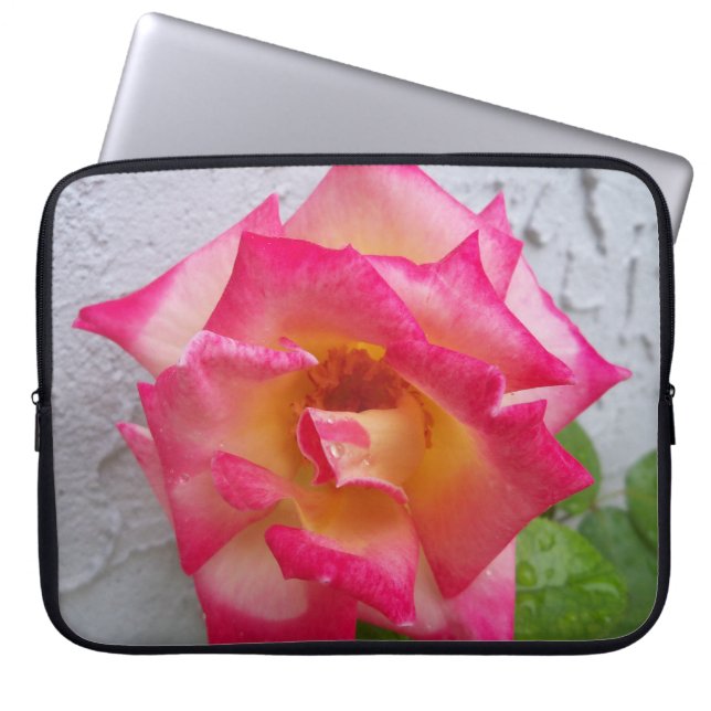 Para Notebook Rosa Dick Clark creme e rosa em uma capa de laptop (Frente)