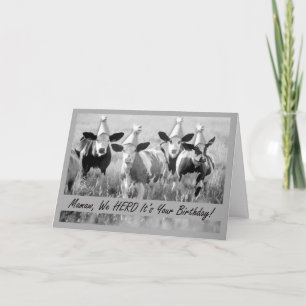 Para o Cartão de Vacas de Aniversário Engraçado Ma