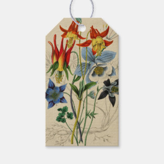 Para Presente Etiqueta de Flores Vintage