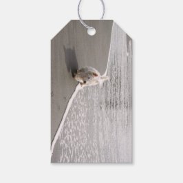 Para Presente Etiqueta de Oferta de Foto Westie Beachcombing