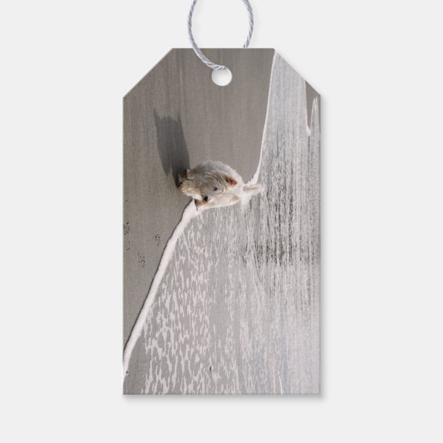 Para Presente Etiqueta de Oferta de Foto Westie Beachcombing (Frente)
