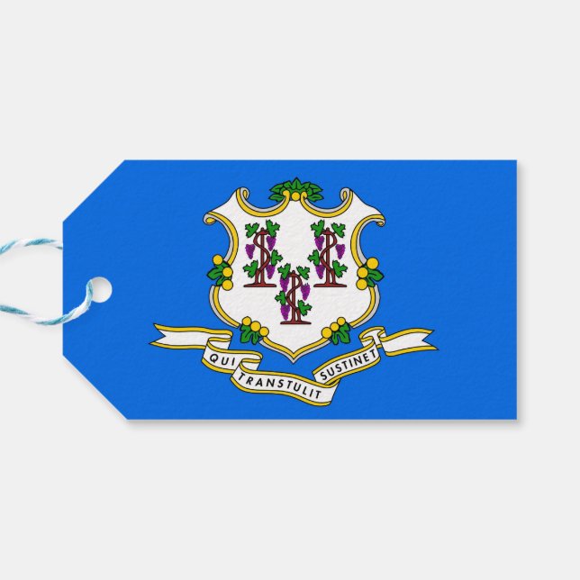 Para Presente Etiqueta de presentes com sinalizador de Connectic (Verso Horizontal)