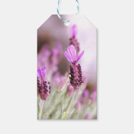 Para Presente Etiqueta de presentes de lavanda
