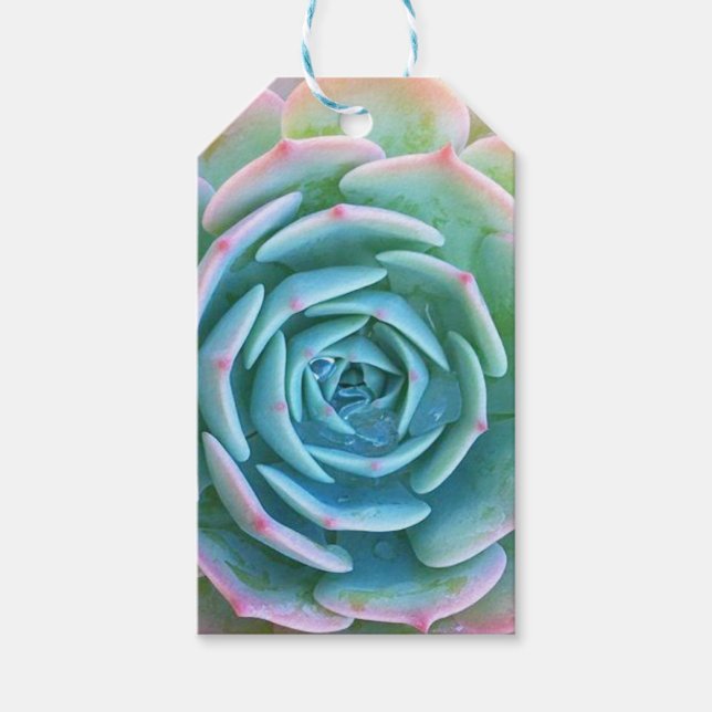 Para Presente Etiqueta de presentes suculenta Echeveria Imbricat (Frente)