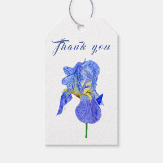 Para Presente Iris Azul De Aquarela Obrigado Etiqueta De Present